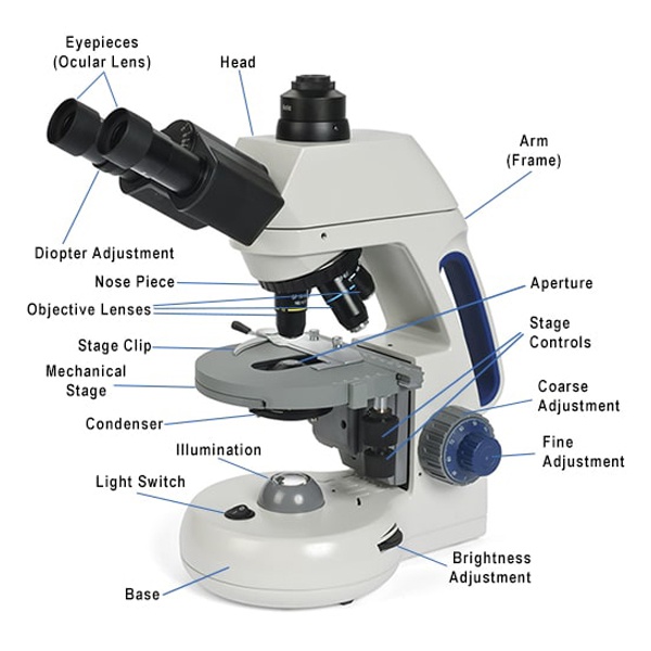 components of a microscope